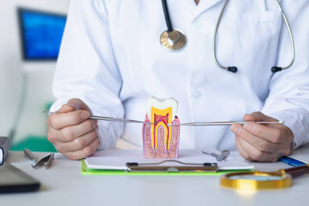 Best Emergency Treatment for Jaw Pain or Injury in Stearns, KY